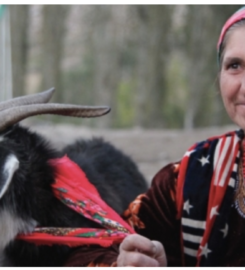 The Cashmere People Yarns; Portland, Maine and Tajikistan