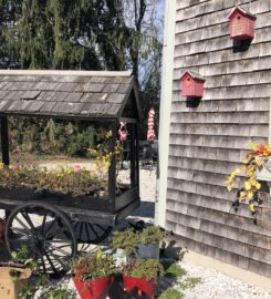 Black Purls Yarn Shop, Sandwich, Massachusetts